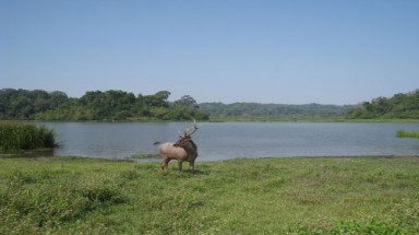  Lo ngại 2 dự án thủy điện trong vùng đệm Vườn Quốc gia Cát Tiên