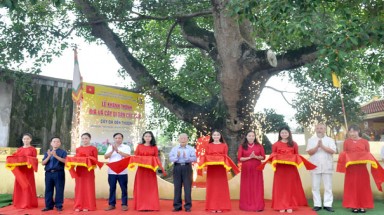 Cây Đa hơn 200 năm ở Đền Thượng (Hả Nam) được công nhận là Cây Di sản Việt Nam