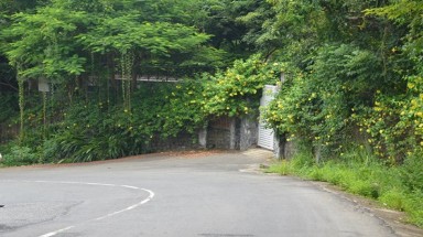 Đà Nẵng: Vì sao lô biệt thự L09 ở Sơn Trà lại là vấn đề "tuyệt mật"?