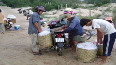 Cá ngon… siêu tốc!