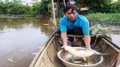  Cá chết trắng sông Vĩnh Định