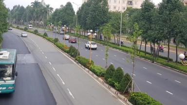  Khó hiểu việc thay thế hàng loạt cây xanh ở TP.Biên Hòa?