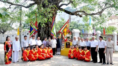 Thêm 11 “Cụ cây” đủ tiêu chuẩn Cây di sản Việt Nam