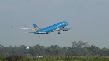 Chim trời "đe dọa" an ninh hàng không