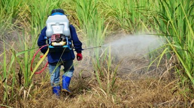  Bảo vệ môi trường: Séc hạn chế việc sử dụng chất diệt cỏ có thể gây ung thư 