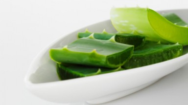 Món ngon chế biến từ cây nha đam