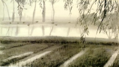 Miền Bắc: Ảnh hưởng của đợt gió mùa đông bắc đầu tiên