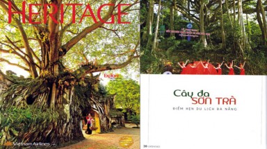 Hội viên VACNE cần hưởng ứng Cuộc thi ảnh Di sản Việt Nam