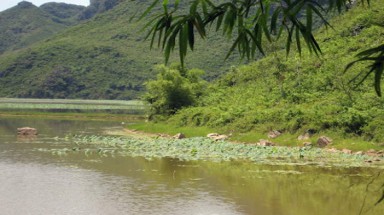  Hà Nội: 8 học sinh nữ chết đuối ở hồ Tuy Lai