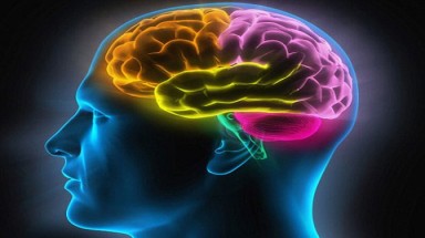 I-ốt tốt cho não?