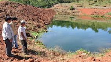 Báo động tình trạng ô nhiễm môi trường ở vùng chăn nuôi tập trung