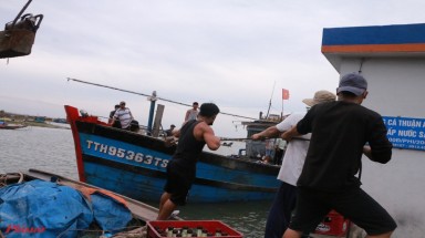 Khi thiên tai "cộng hưởng" với nhân họa