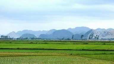 Miễn, giảm thuế sử dụng đất nông nghiệp từ 1/10/2011