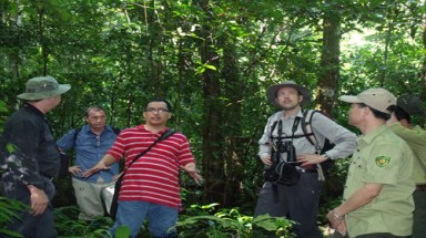  Hồ sơ di sản Cát Tiên trục trặc