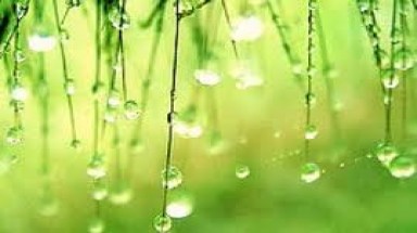 Miền Bắc nắng đẹp cuối tuần