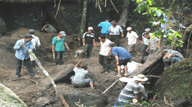 Hàng ngàn người băm nát rừng vì tin đồn trúng trầm 50 tỉ