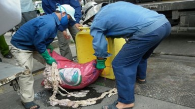  Đà Nẵng: Hơn nửa tấn nội tạng thối chuẩn bị tuồn vào Nam