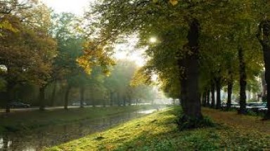 Bắc Bộ nắng đẹp, Nam và Trung Bộ mưa kéo dài