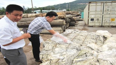 Đà Nẵng: Xử phạt 6 doanh nghiệp gây ô nhiễm môi trường