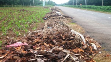  BRVT: Bắt quả tang xe tải chở rác đổ đầy đường