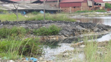   Bắc Giang phạt nhiều cơ sở vi phạm pháp luật về bảo vệ môi trường 