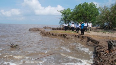 Sản xuất nông nghiệp trước biến đổi khí hậu: Bảo vệ môi trường biển và ngăn sạt lở