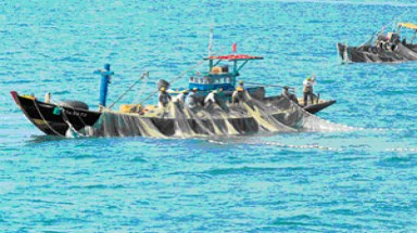 Hợp tác quốc tế trong điều tra nghiên cứu tài nguyên môi trường biển