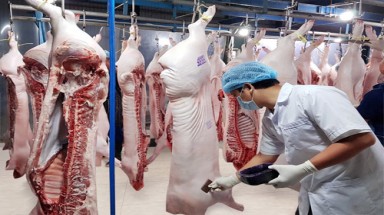 Bảo vệ môi trường: Nhu cầu cao về thịt và hải sản tại châu Á gây nguy hiểm tới môi trường