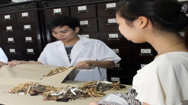 Thuốc hay chữa bệnh mạn tính của dân tộc Chăm