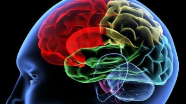 Thuốc giúp người tĩnh tâm lại gây ra suy yếu tứ chi