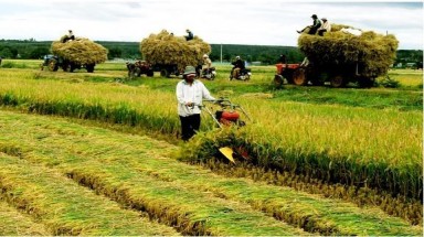 Tiềm năng của Doanh nghiệp trong việc Thúc đẩy Tăng trưởng và Bình đẳng