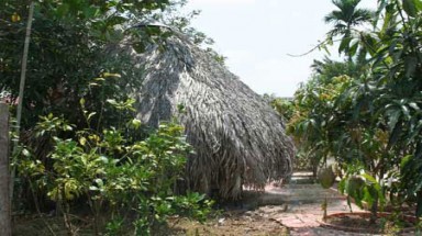 Đổi vợ làm tình "thú chơi" biến thái ở Sài Gòn