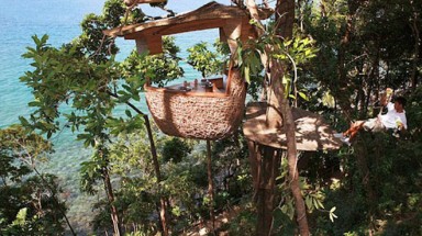 Nhà hàng “tổ chim”