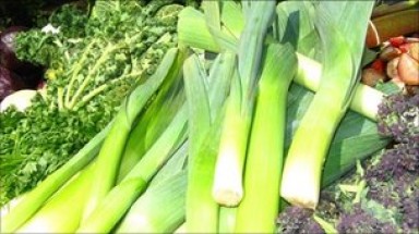 Tỏi tây và khoai tây gây ra dịch E.coli