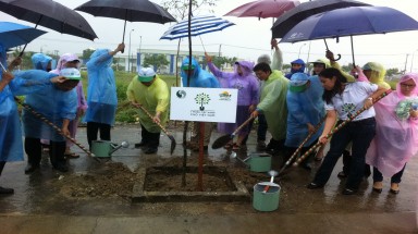 "Quỹ 1 triệu cây xanh cho Việt Nam" hưởng ứng Lễ Quốc gia làm cho Thế giới sạch hơn