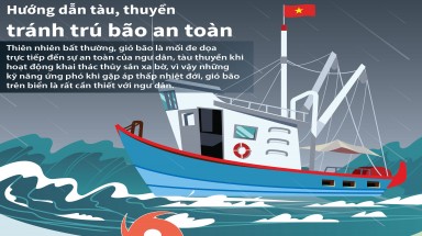 Đồ hoạ:Hướng dẫn tàu, thuyền tránh trú bão an toàn