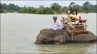Đắk Lắk có hợp tác xã du lịch...voi 