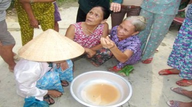 Thừa Thiên - Huế: Bim bim nghi lúc nhúc sinh vật lạ