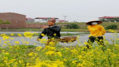 Thời tiết miền Bắc nóng dần lên