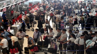 Rắn, cá sấu tấn công Bangkok