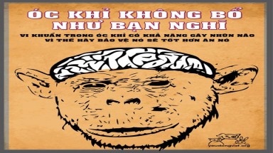  Kêu gọi ngừng sát hại động vật hoang dã