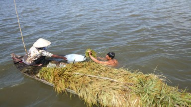 Mưa lũ gây thiệt hại lớn tại ĐBSCL và Miền Trung