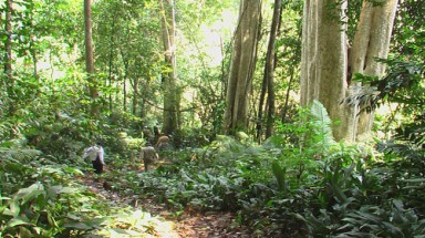  Dự án thủy điện Đồng Nai  6 và 6A: Nhiều giải pháp “không tưởng” !