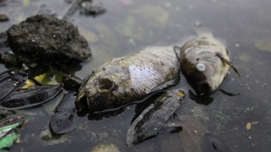  Hồ đẹp ở thủ đô đang kêu cứu