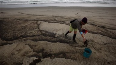 New Zealand đối đầu với thảm họa sinh thái