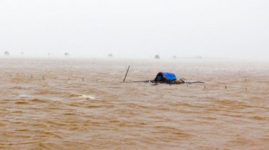 Tin bão khẩn cấp (Cơn bão số 8): Từ Quảng Ninh đến Ninh Bình nước biển dâng cao từ 3 – 3.5m