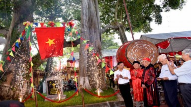 Thêm loài cây mới lọt vào danh sách Cây Di sản Việt Nam