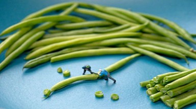 Con người bé nhỏ trước... thực phẩm