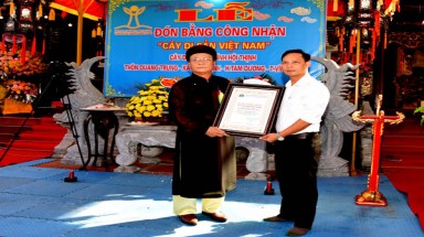 Cây cổ thụ đầu tiên của huyện Tam Dương, tỉnh Vĩnh Phúc được vinh danh