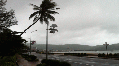 Bão số 7 đã suy yếu thành áp thấp nhiệt đới